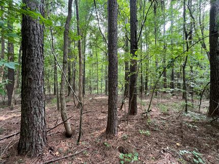 Hunting Property in Tuscaloosa County, Alabama