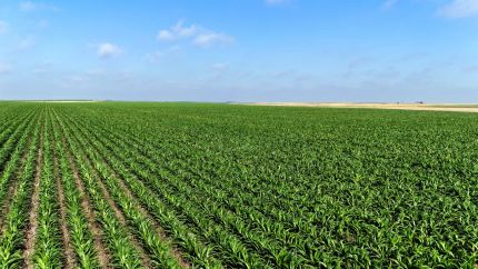 Hunting Property for sale in Deuel County, Nebraska