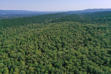 Recreational Property for sale in Yell County, Arkansas