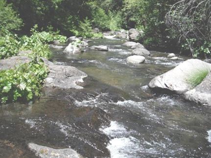 Farm and Ranch for sale in Siskiyou County, California