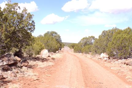 Farm and Ranch for sale in Apache County, Arizona