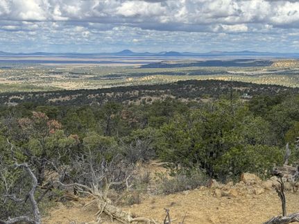 Timberland Property for sale in Catron County, New Mexico