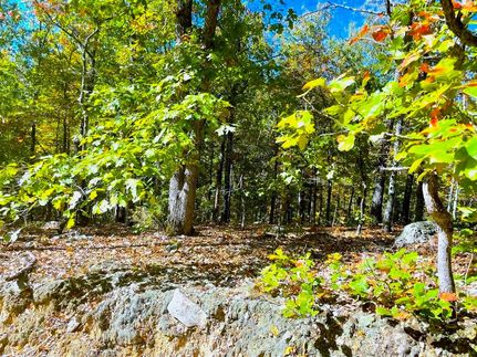 Undeveloped Land for sale in Sharp County, Arkansas
