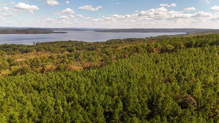 Timberland Property for sale in Yell County, Arkansas