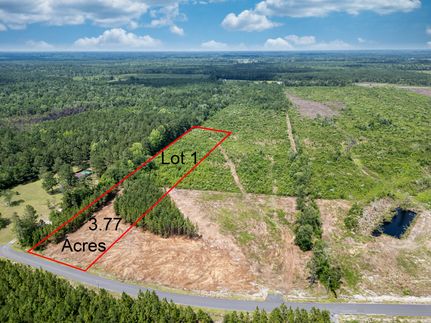 Undeveloped Land for sale in Marion County, South Carolina