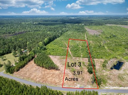Undeveloped Land for sale in Marion County, South Carolina