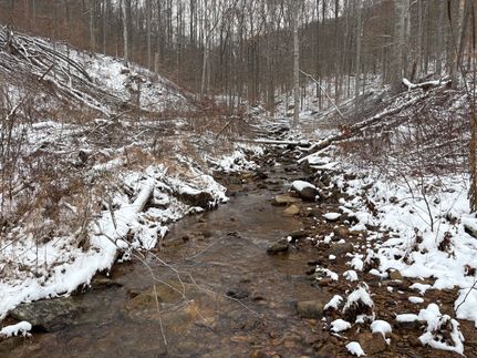 Land for sale in Scott County, Tennessee