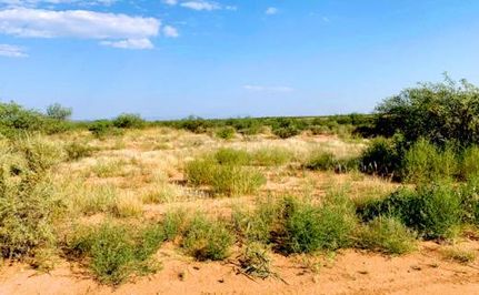 Timberland Property for sale in Cochise County, Arizona