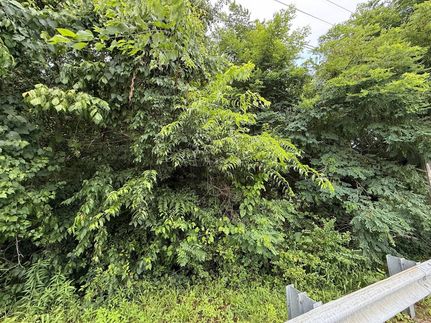 Undeveloped Land for sale in Danville City County, Virginia