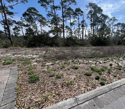 Undeveloped Land for sale in Gulf County, Florida