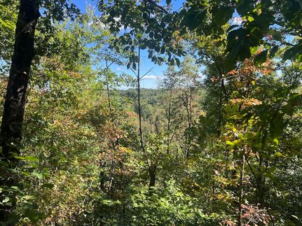 Undeveloped Land for sale in Magoffin County, Kentucky