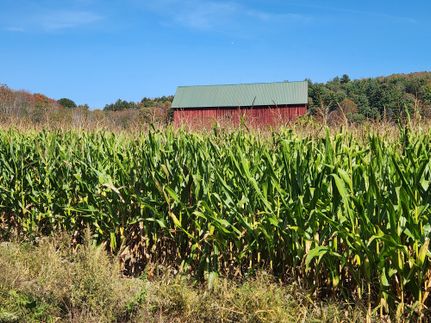 Farm and Ranch for sale in Chenango County, New York