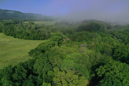 Farm and Ranch for sale in Yell County, Arkansas