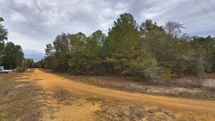 Undeveloped Land in Putnam County, Florida