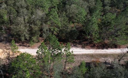 Timberland Property for sale in Putnam County, Florida