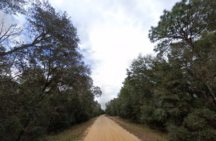 Undeveloped Land for sale in Putnam County, Florida