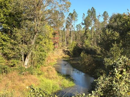 Timberland Property for sale in Tallahatchie County, Mississippi