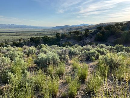 Undeveloped Land for sale in Elko County, Nevada