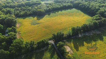 Farm and Ranch for sale in Franklin County, Illinois
