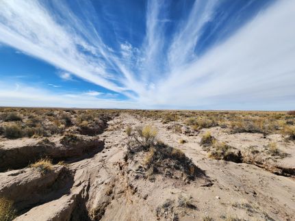 Timberland Property for sale in Navajo County, Arizona