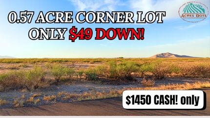 Undeveloped Land for sale in Luna County, New Mexico