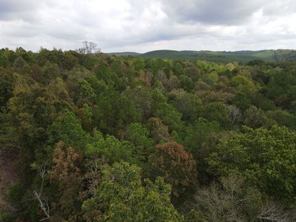 Land for sale in Calhoun County, Alabama