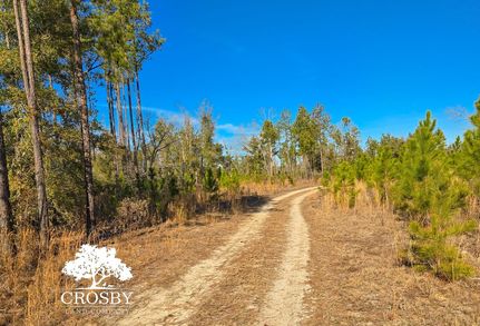 Farm and Ranch for sale in Screven County, Georgia