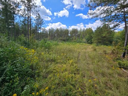 Recreational Property for sale in Calhoun County, Alabama