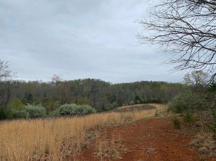 Undeveloped Land for sale in Amherst County, Virginia