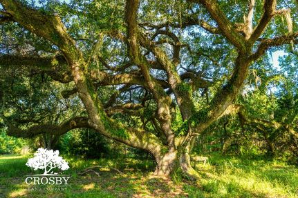 Recreational Property in Allendale County, South Carolina
