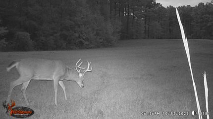 Timberland Property for sale in Jones County, Georgia
