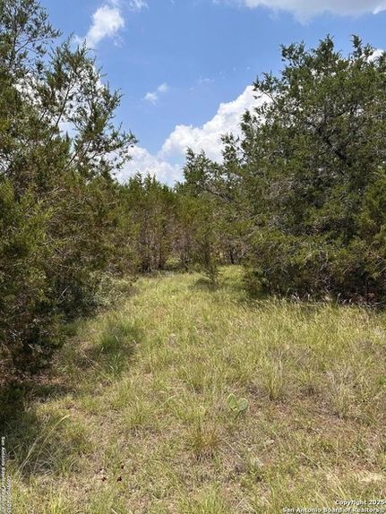Farm and Ranch for sale in Comal County, Texas