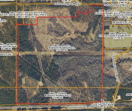 Undeveloped Land for sale in Tishomingo County, Mississippi