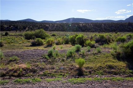 Undeveloped Land for sale in White Pine County, Nevada