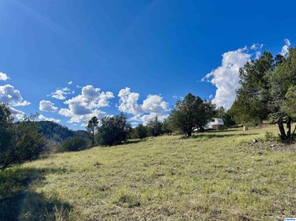 Farm and Ranch for sale in Grant County, New Mexico