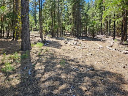 Recreational Property for sale in Modoc County, California