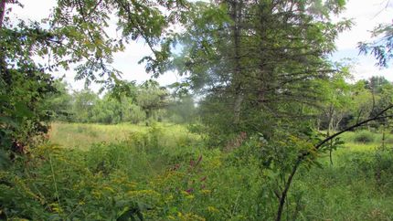 Timberland Property for sale in Orange County, New York