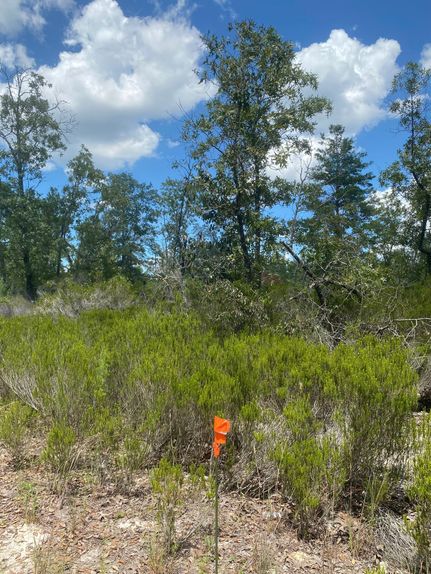 Farm and Ranch for sale in Putnam County, Florida