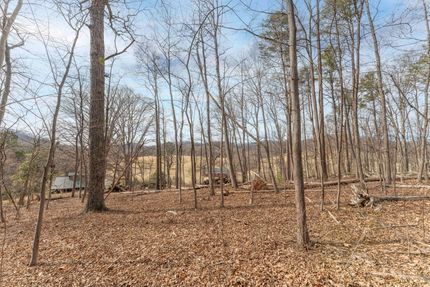 Land for sale in Albemarle County, Virginia