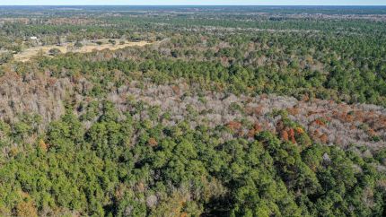 Undeveloped Land for sale in Jackson County, Mississippi