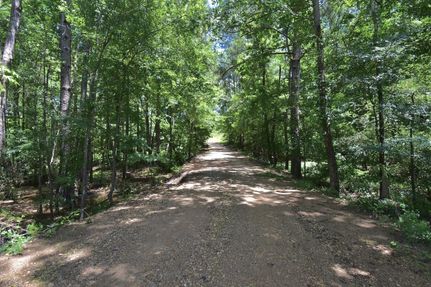 Undeveloped Land for sale in Columbia County, Arkansas