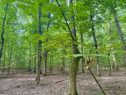 Farm and Ranch for sale in Prairie County, Arkansas