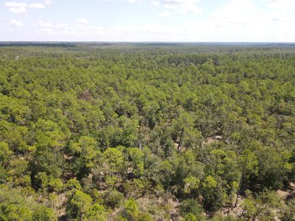 Undeveloped Land for sale in Washington County, Florida