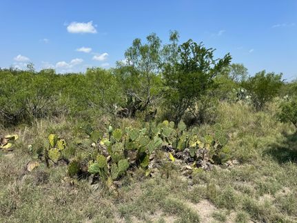 Farm and Ranch for sale in La Salle County, Texas