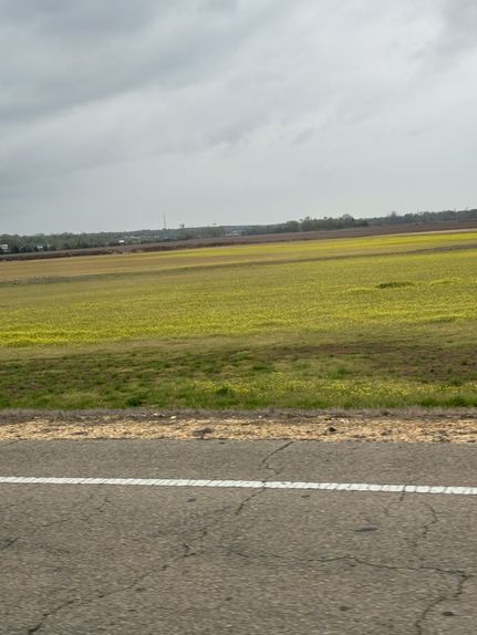 Land for sale in Lee County, Mississippi