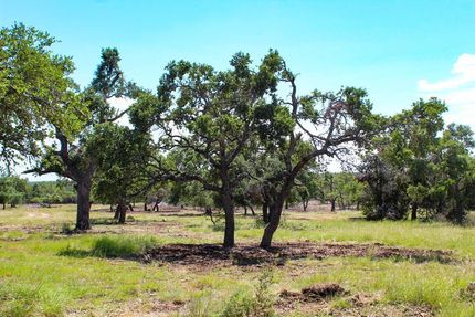 Horse Property for sale in Kerr County, Texas