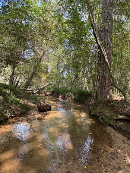 Timberland Property for sale in Oconee County, Georgia