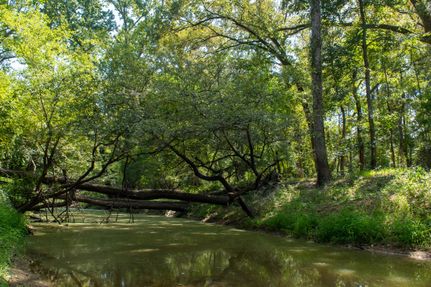 Farm and Ranch for sale in Angelina County, Texas