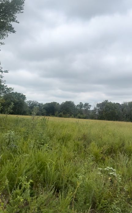 Undeveloped Land for sale in Craig County, Oklahoma