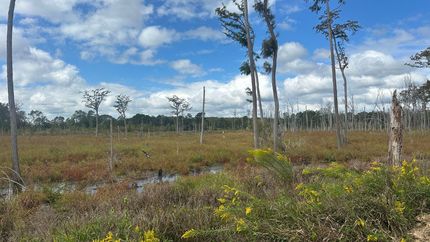 Recreational Property for sale in Screven County, Georgia